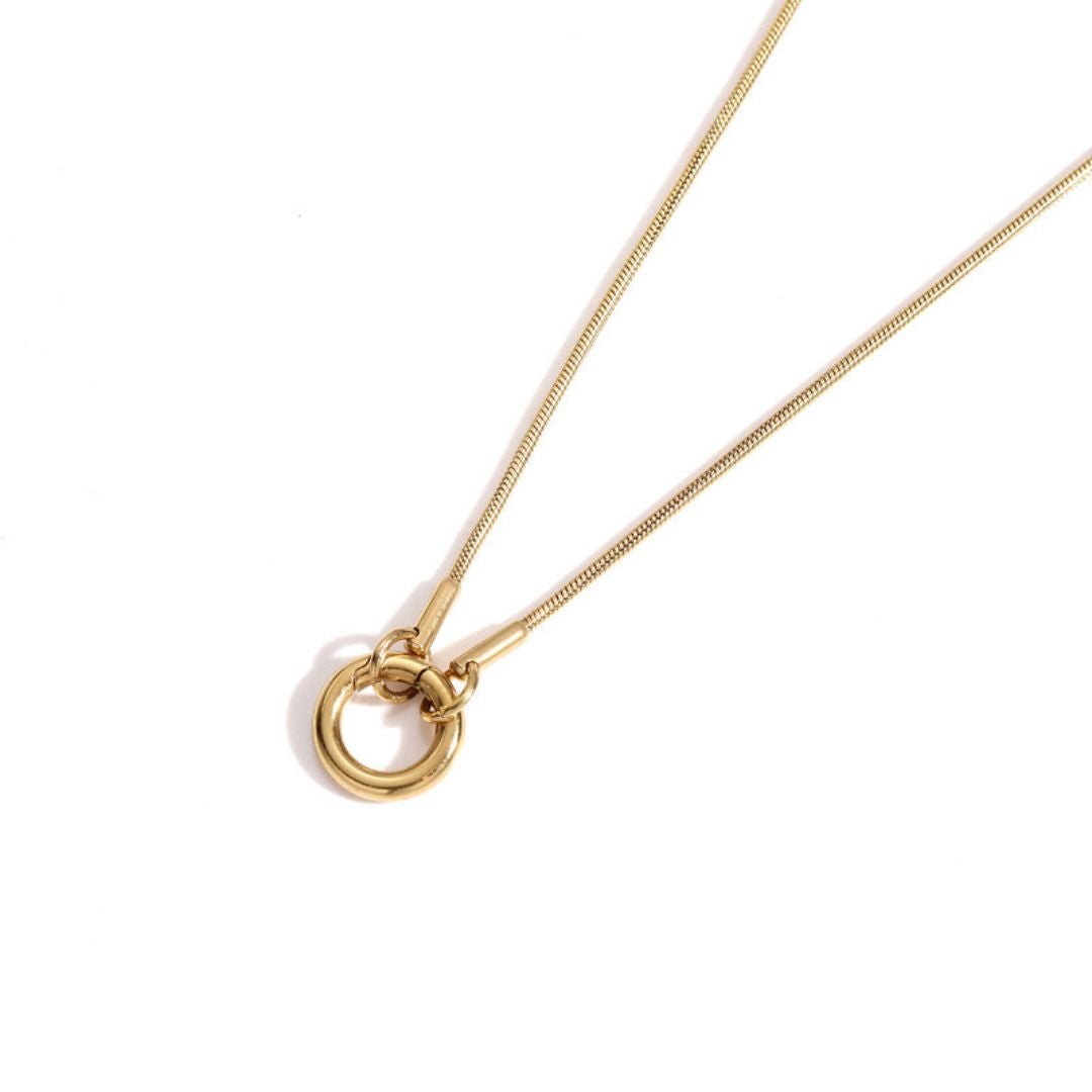 Gold Round Snake Charm Collector Chain Necklace