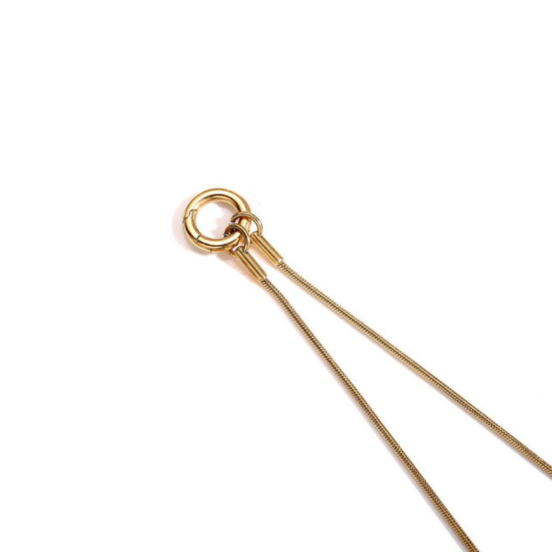 Gold Round Snake Charm Collector Chain Necklace