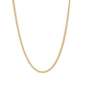 Gold Curb Chain Necklace
