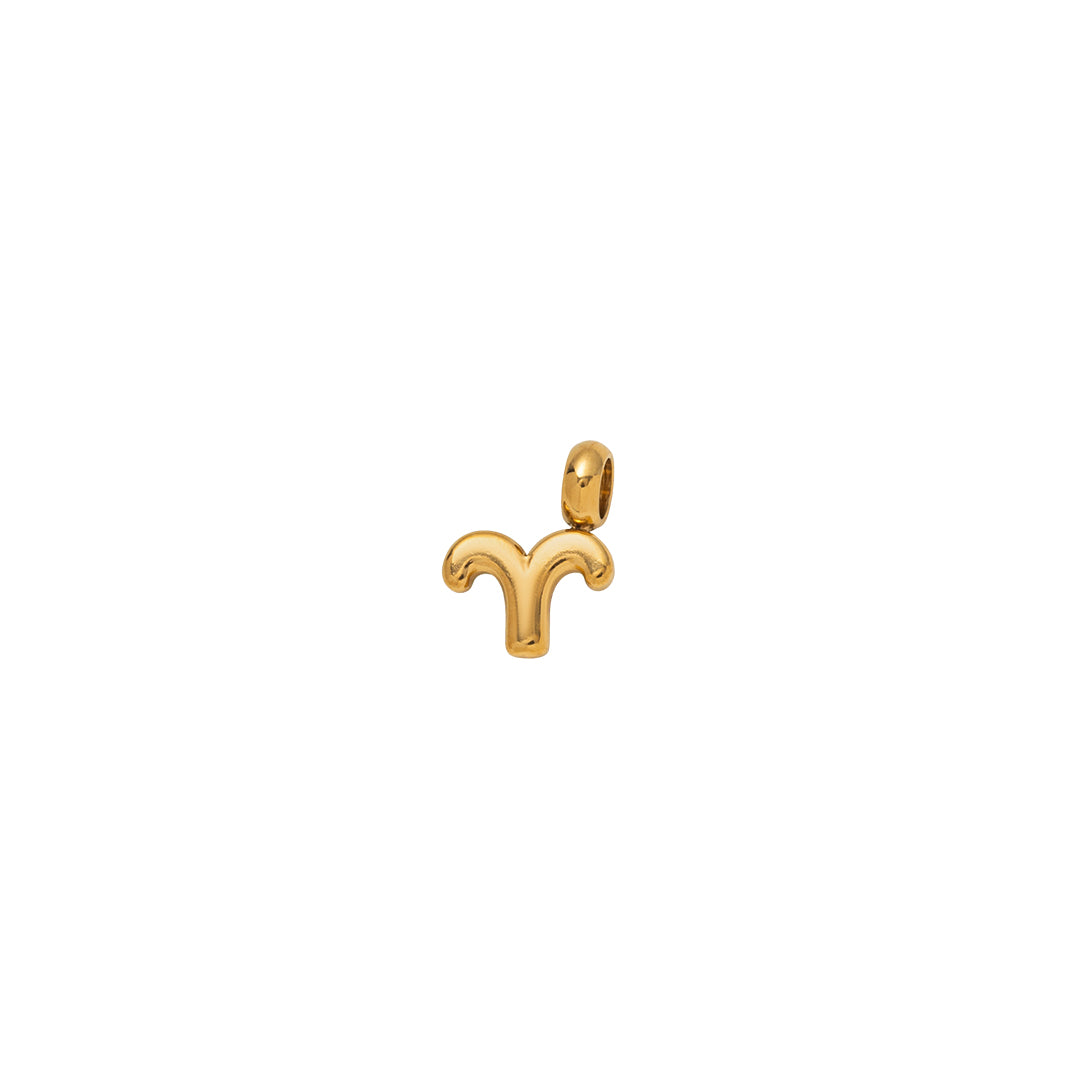 Zodiac Charms