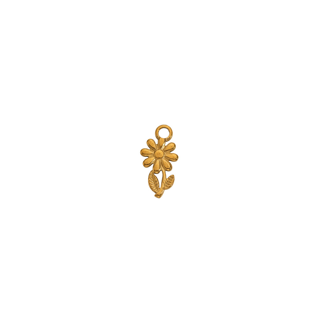 Nature Charms