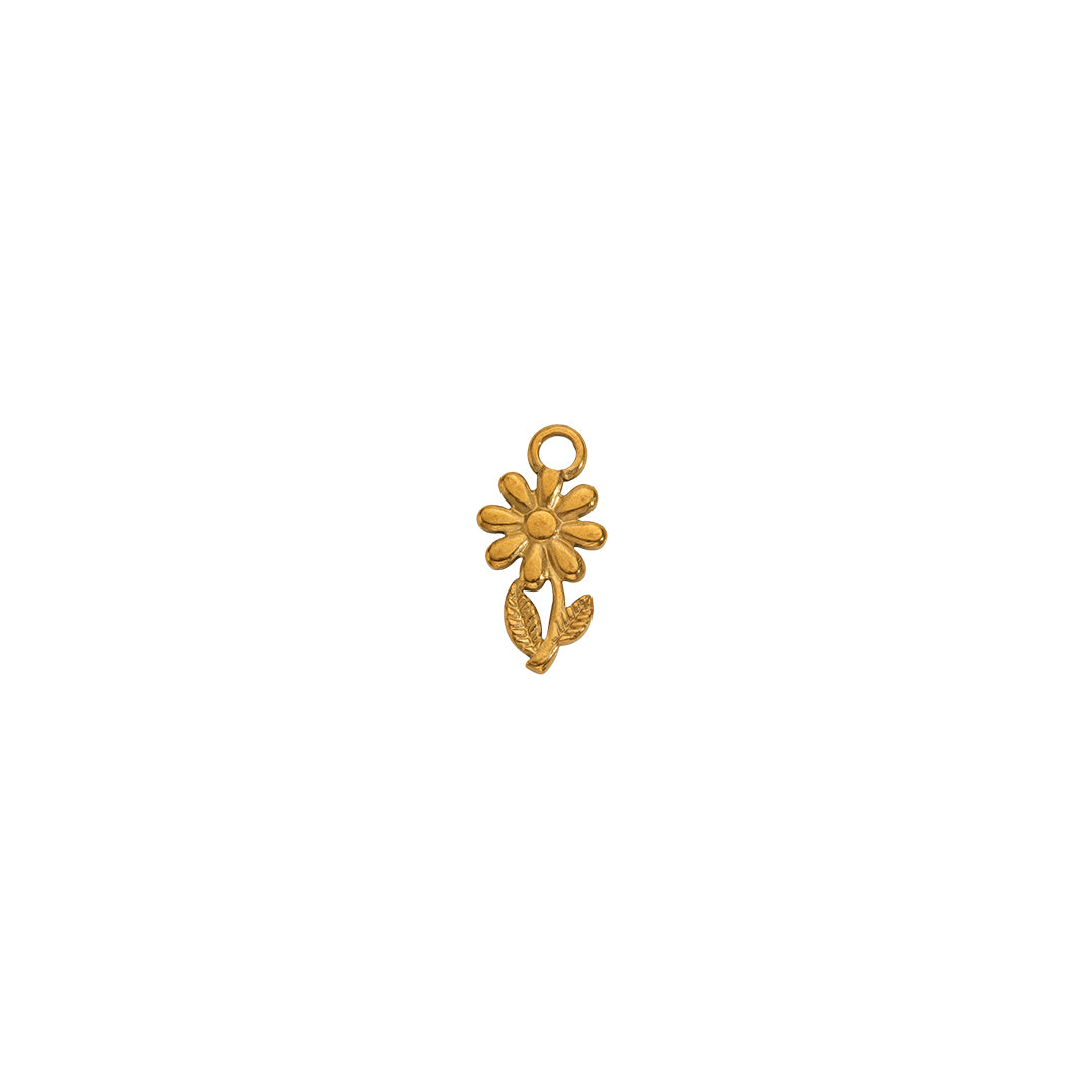 Nature Charms