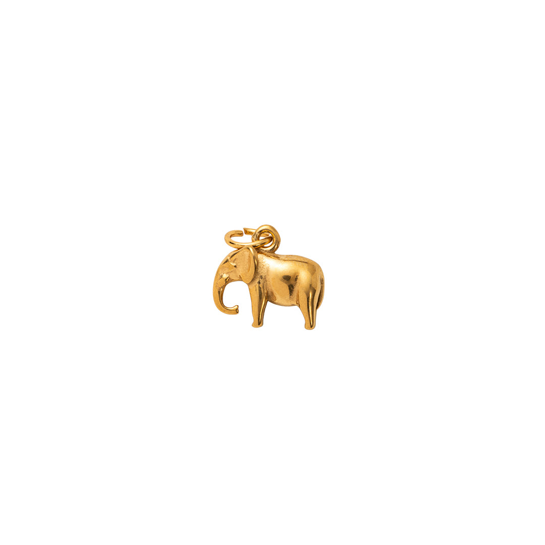 Animal Charms