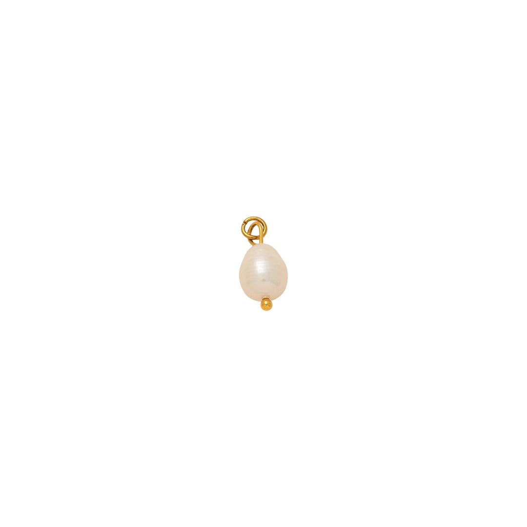 Nature Stone Charms