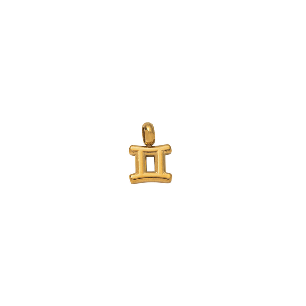Zodiac Charms