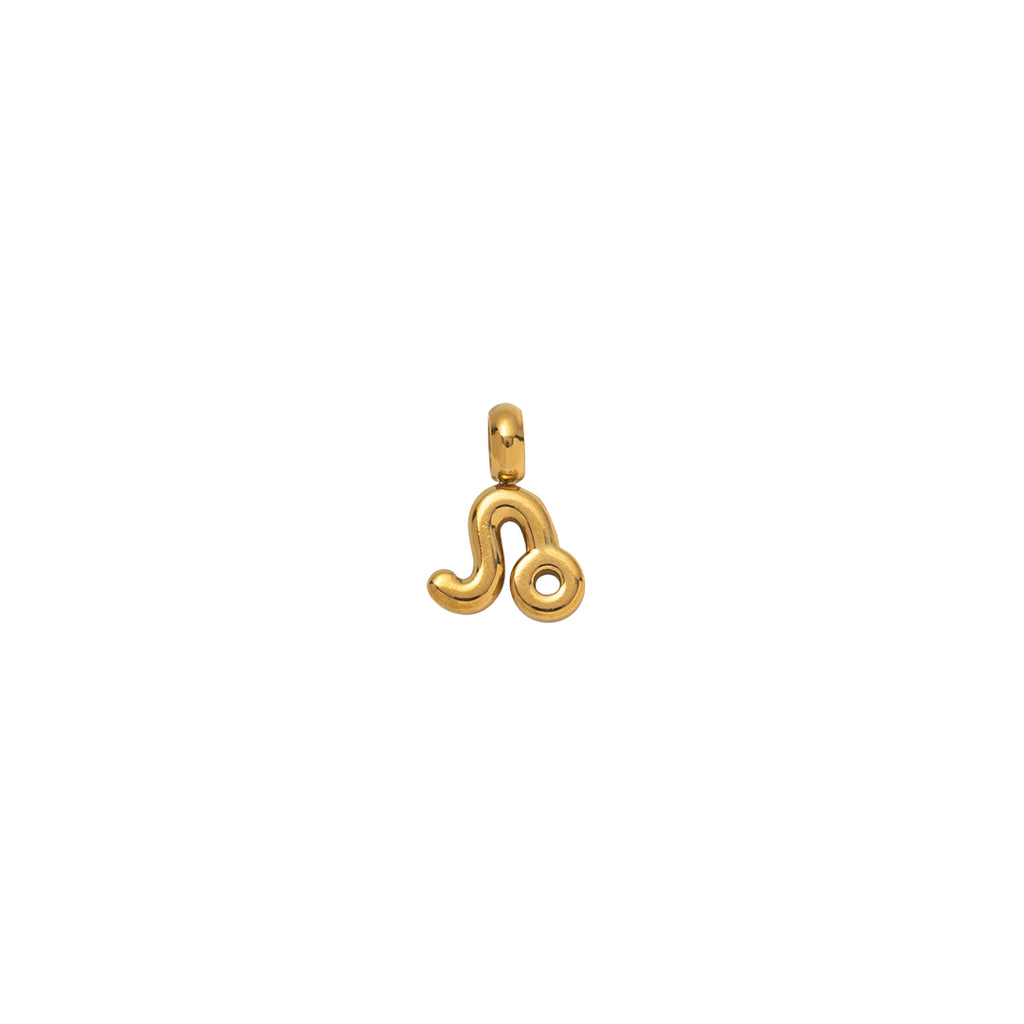 Zodiac Charms