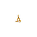 Zodiac Charms