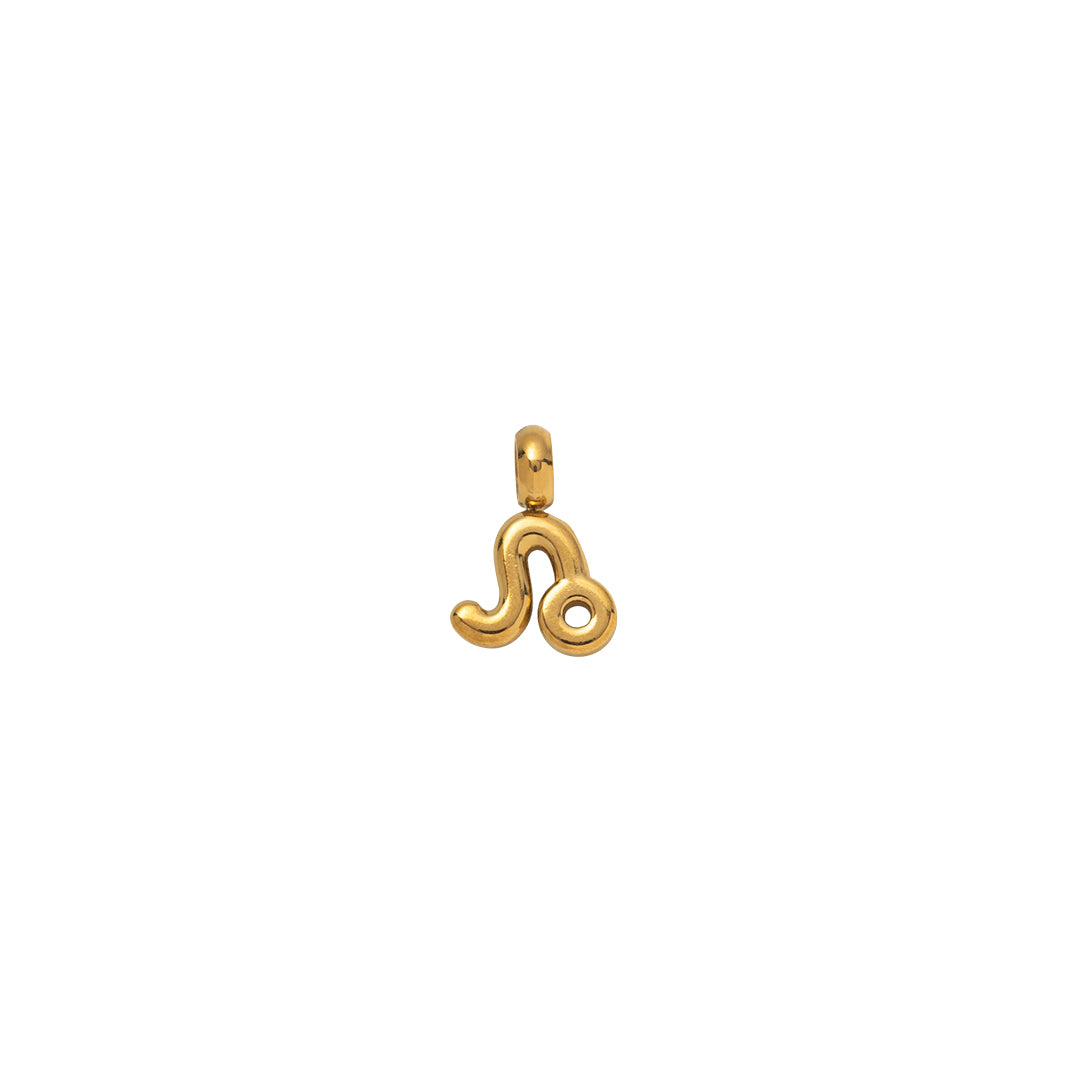 Zodiac Charms