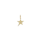Cosmica Charms