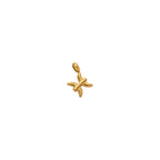 Zodiac Charms