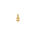 Zodiac Charms