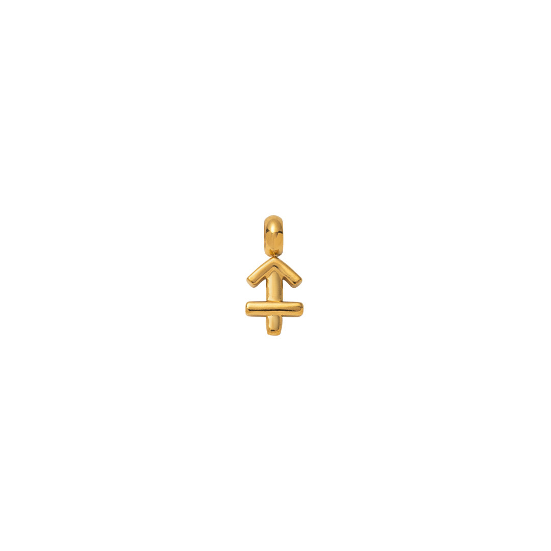 Zodiac Charms